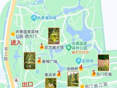 -上海共青森林公园