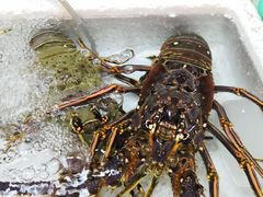 -海儀美食楼(湾仔海鲜街店)