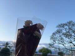 -德宏芒市国际机场