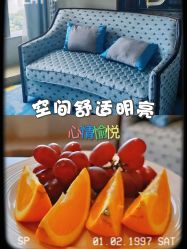 -臻康乃馨月子中心(凯宾斯基店)