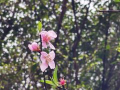 -Club Med地中海俱乐部·桂林度假村