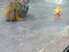 -西安秦岭野生动物园