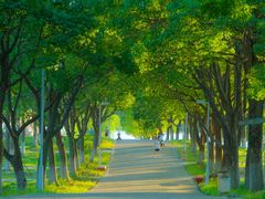 -白塘生态植物园