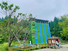 -武陵山森林公园