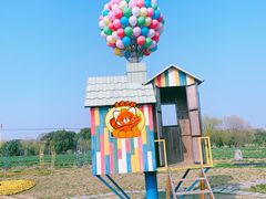 -苏州太湖西山岛开心农场