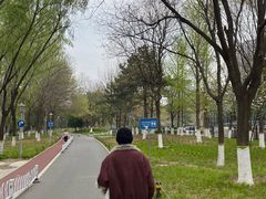 -望湖公园