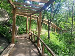 -大岭沟猕猴桃谷风景区