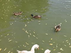 -中国农业博物馆