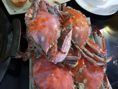 -大锅强·蒸海鲜青岛菜(吾悦广场店)