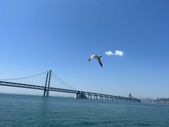 -星海广场