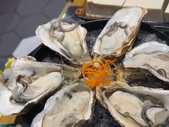 -蚝大仙横琴生蚝火锅(中央汇店)
