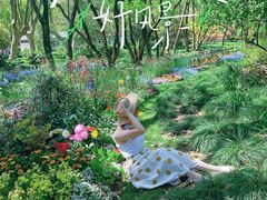 -上海共青森林公园