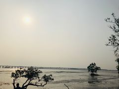 -宝安西湾红树林湿地公园