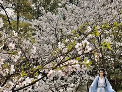 -南山植物园