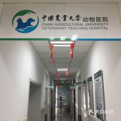 中国农大动物医院怎么样啊 LJ-1I9_AR2f5M9du8UqY8veLO-uok4UXoJfe56qHpY3TtYaXFmiKBqJc_bNvyQABuzFvxlbkWx5uwqY2qcjixFEuLYk00OmSS1IdNpm8K8sG4JN9RIm2mTKcbLtc2o2vfCF2ubeXzk49OsGrXt_KYDCngOyCwZK-s3fqawWswzk.jpg