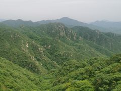 -大岭沟猕猴桃谷风景区