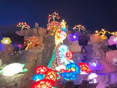 -淄博花灯齐彩城