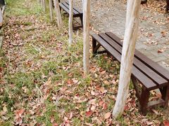 -武汉紫薇都市田园