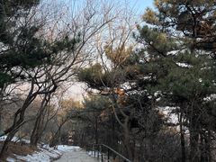 -香山公园