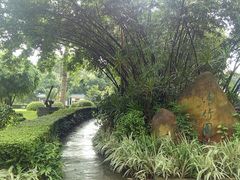 -晓港公园