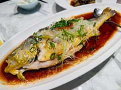 油泼深海黄花鱼-波螺油子·海肠捞饭·青岛菜(银座店)