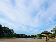 -上海佘山世茂艾美酒店