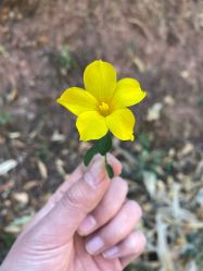 -美莱医学美容医院