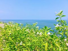 -硇洲岛旅游区
