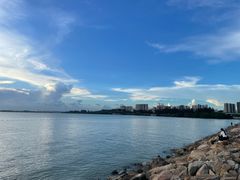 -宝安西湾红树林湿地公园