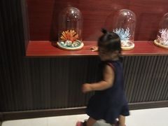 -青岛贝壳博物馆