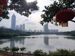 -万绿园