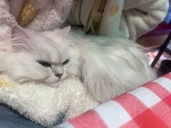 -串王阿三烧烤·小龙虾·烤鱼(拱墅胜利河美食街店)