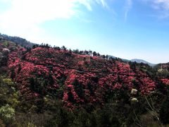 -木兰云雾山
