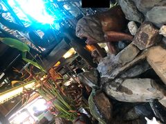 -自然餐厅(Phuket)