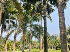 -中国科学院西双版纳热带植物园