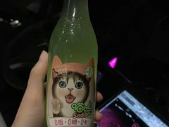 -枫花园汽车电影院(朝阳公园店)