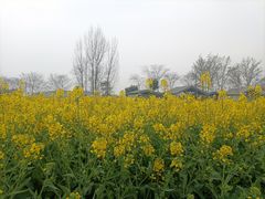 -中国天府农业博览园