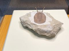 -自然博物馆(地铁站)