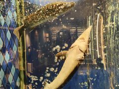 -陶陶居·雅园(凯华国际店)