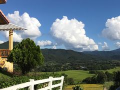 -黄色小屋