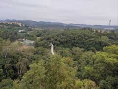 -南宁良凤江国家森林公园