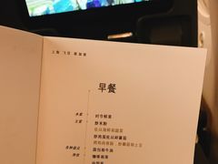 -新加坡航空公司(ION)