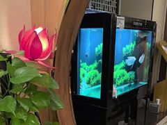 -汤泉良子.足疗按摩.SPA(中关村店)