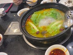 -草墩罗非鱼庄•野生菌•腊排骨(七星街上段店)