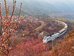 -居庸关长城