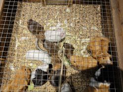 -酷嗒动物文化乐园(cutezoo西溪乐天城店)