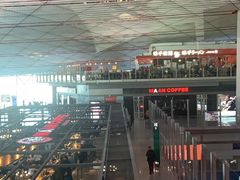 -首都机场t3-c国航两舱休息室