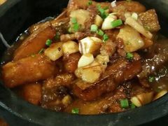 三强鸽子-三强鸽子(胜利路店)
