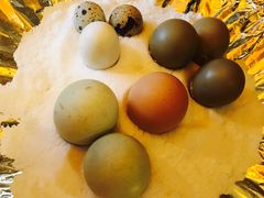 -冶春茶社(太和广场店)