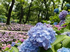 -沈阳植物园
